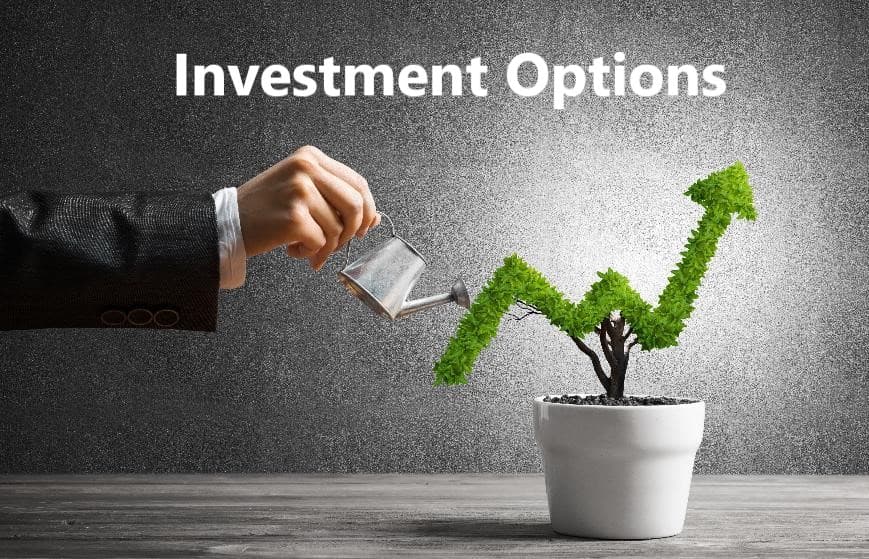 Investment Options